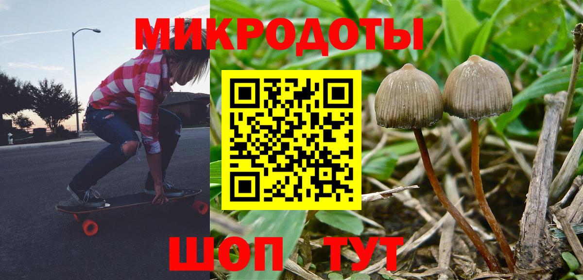 Псилоцибиновые грибы мицелий Белореченск