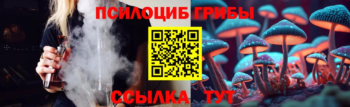 Псилоцибиновые грибы Psilocybe  Вход с VPN  Белореченск 